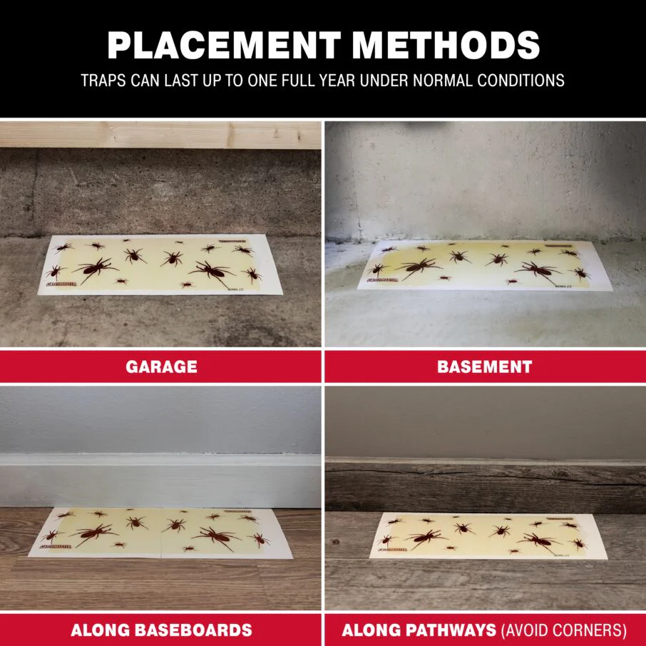 Brown Recluse Spider Giant Glue Board Traps - Image 6