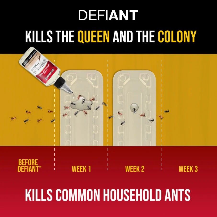 DEFIANT™ Extra Long Reusable Ant Traps Indoor – 8 Pack - Image 6