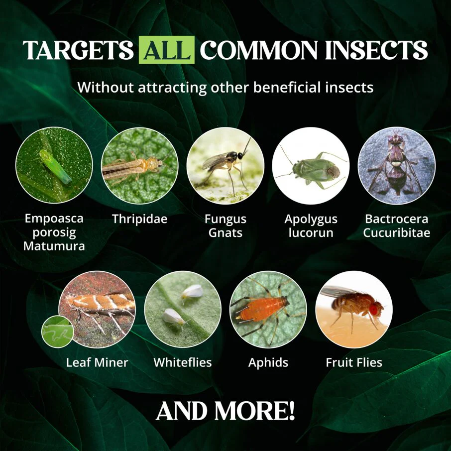 Dual Action Plant Labels Sticky Insect Trap - Image 4