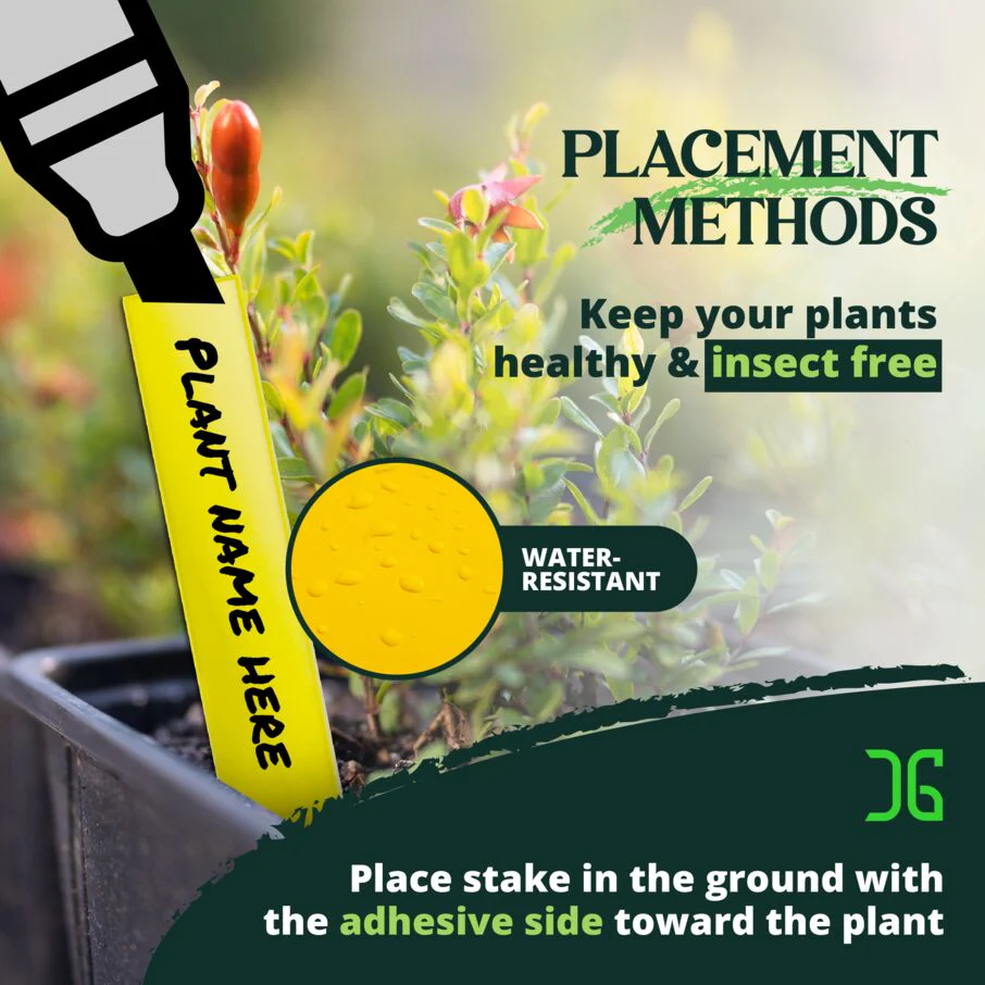 Dual Action Plant Labels Sticky Insect Trap - Image 6