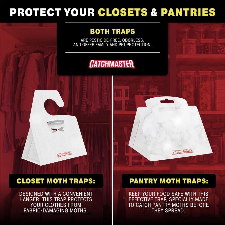 Premium Clothes Moth Traps with Patented Pheromones XL – Hardwood - Image 8