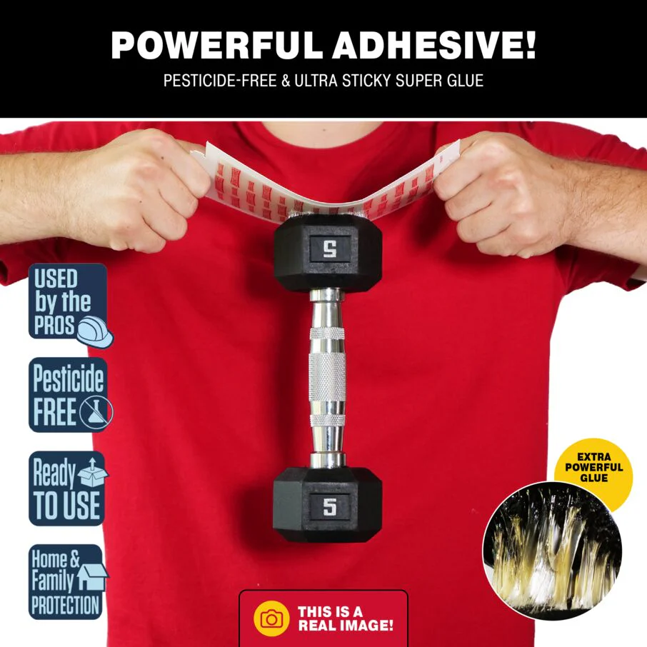 Pro Series Multi-Catch Mini Mouse Trap Refills - Image 2