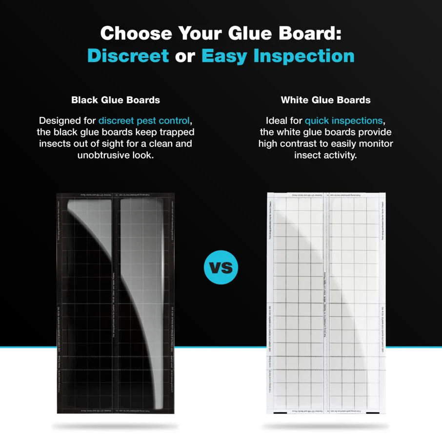 Vector UV Fly Light Universal Replacement Glue Boards Without Pheromones - White - Image 5