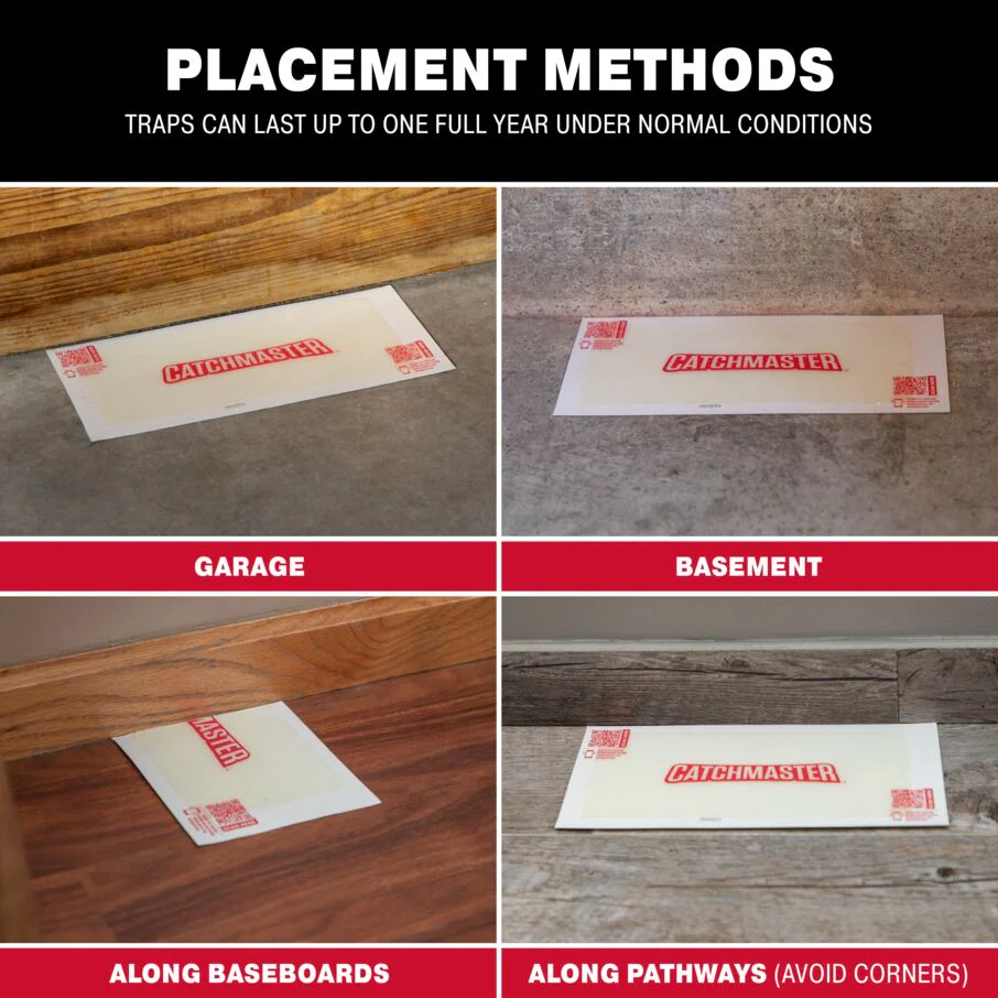 Giant XL Glue Traps for Crawling Insects - Image 6