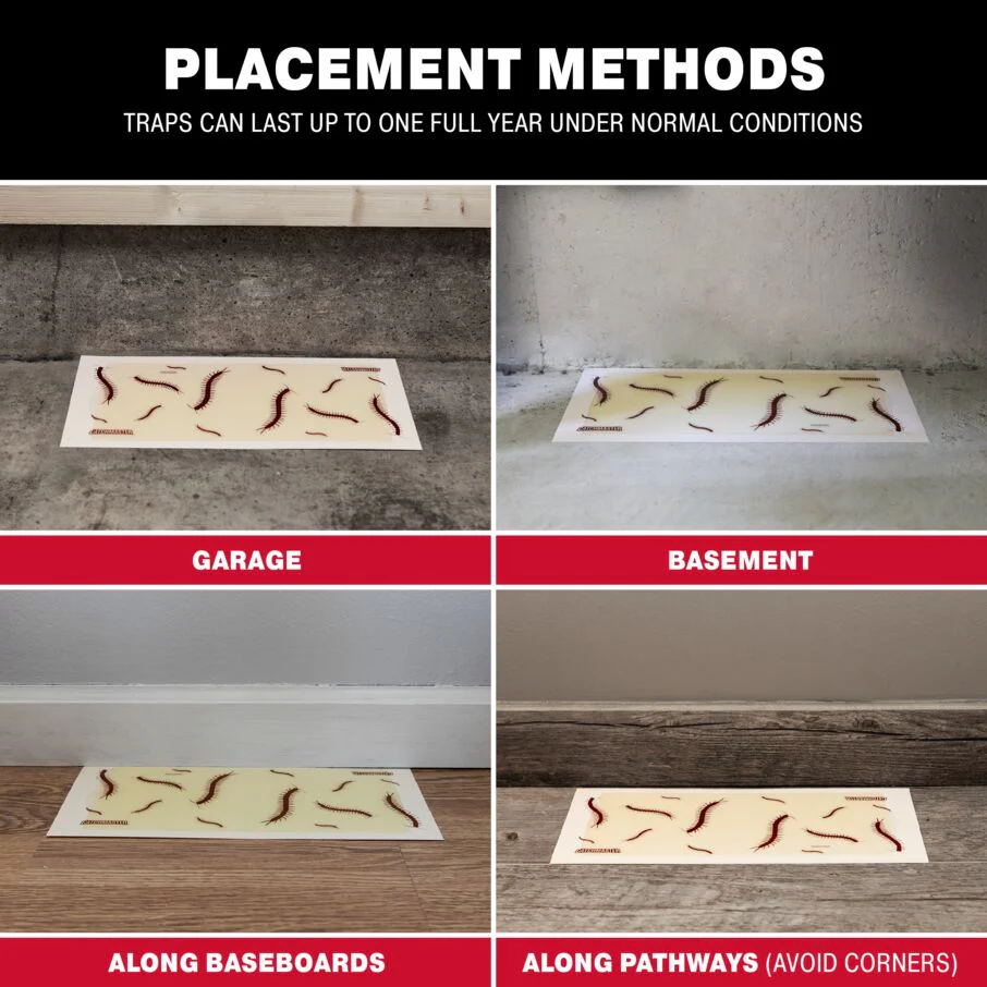Centipede XL Giant Glue Board Traps - Image 6