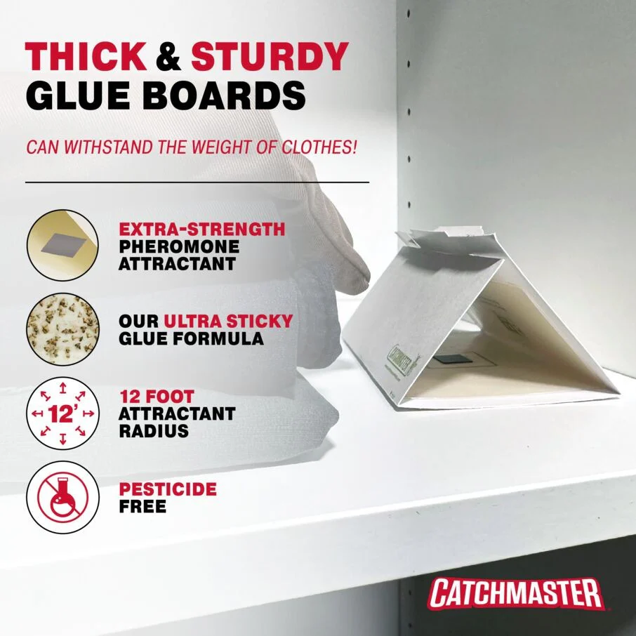 Clothes Moth Glue Board Traps - Image 3