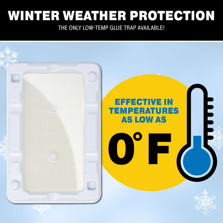 Mouse & Insect Glue Trays for Cold Weather - Image 3