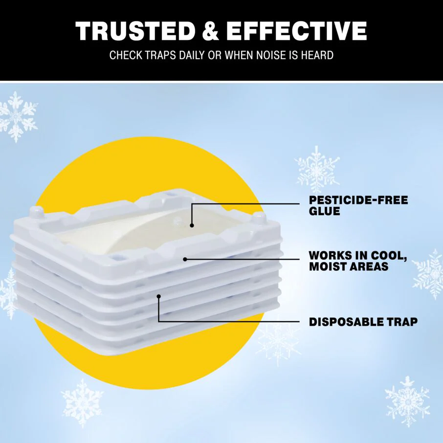 Mouse & Insect Glue Trays for Cold Weather - Image 5