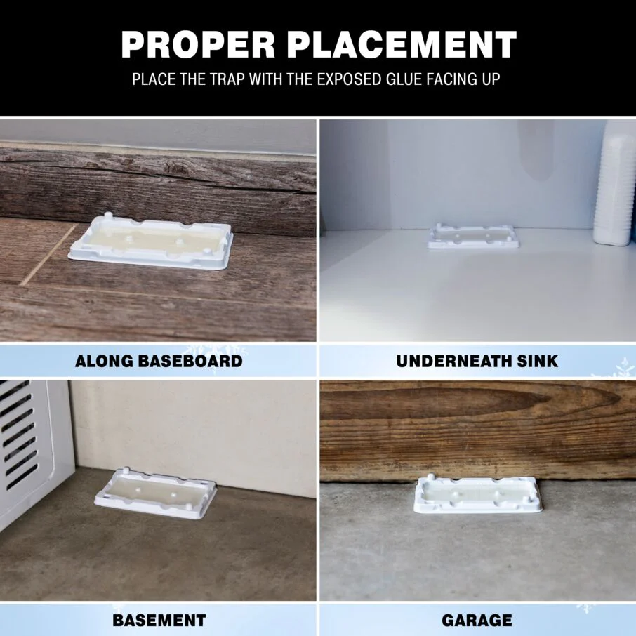 Mouse & Insect Glue Trays for Cold Weather - Image 6