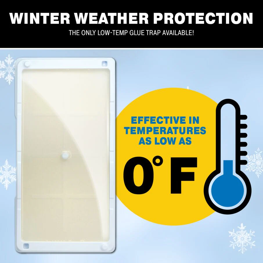 Rodent & Insect Glue Trays for Cold Weather - Image 5