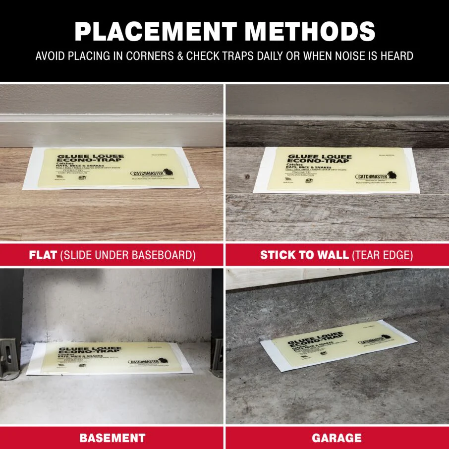 Gluee Louee Econo Extra Large Rat Traps - Image 6
