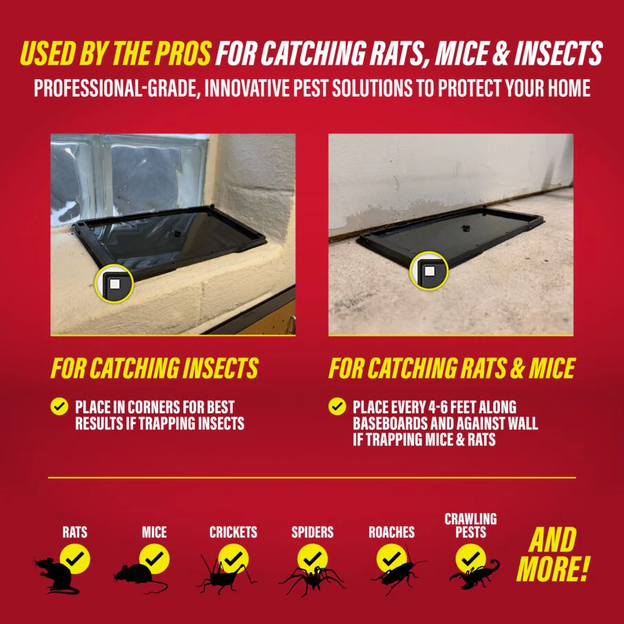 Heavy-Duty Rat, Mouse & Insect Glue Traps - Image 5