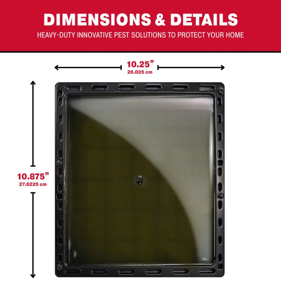 Jumbo Glue Traps for Large Rodents and Other Pests - Image 4