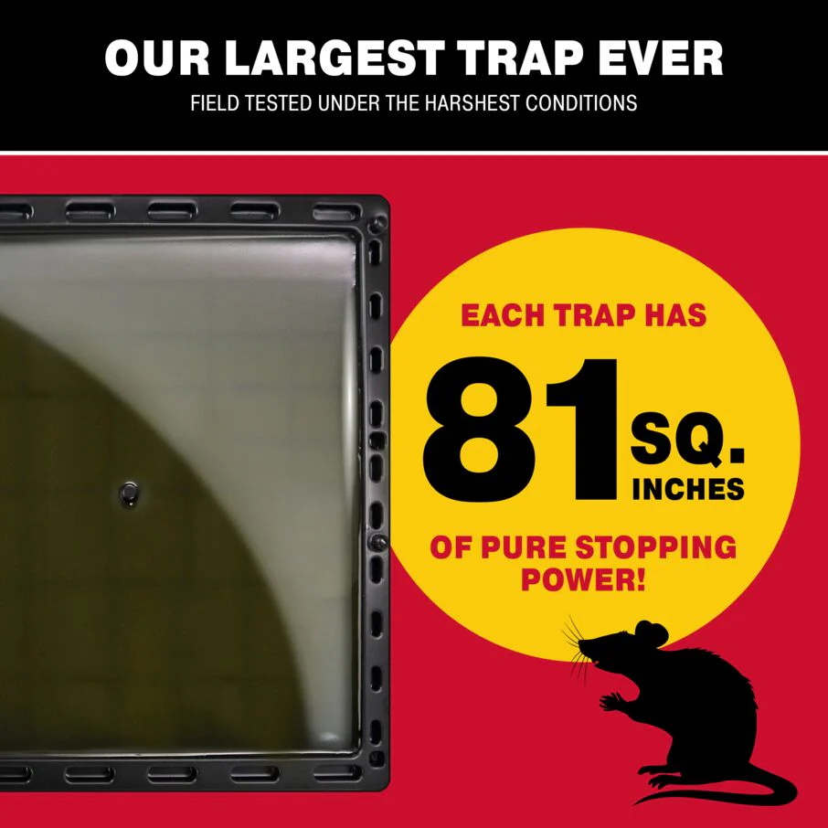 Jumbo Glue Traps for Large Rodents and Other Pests - Image 5