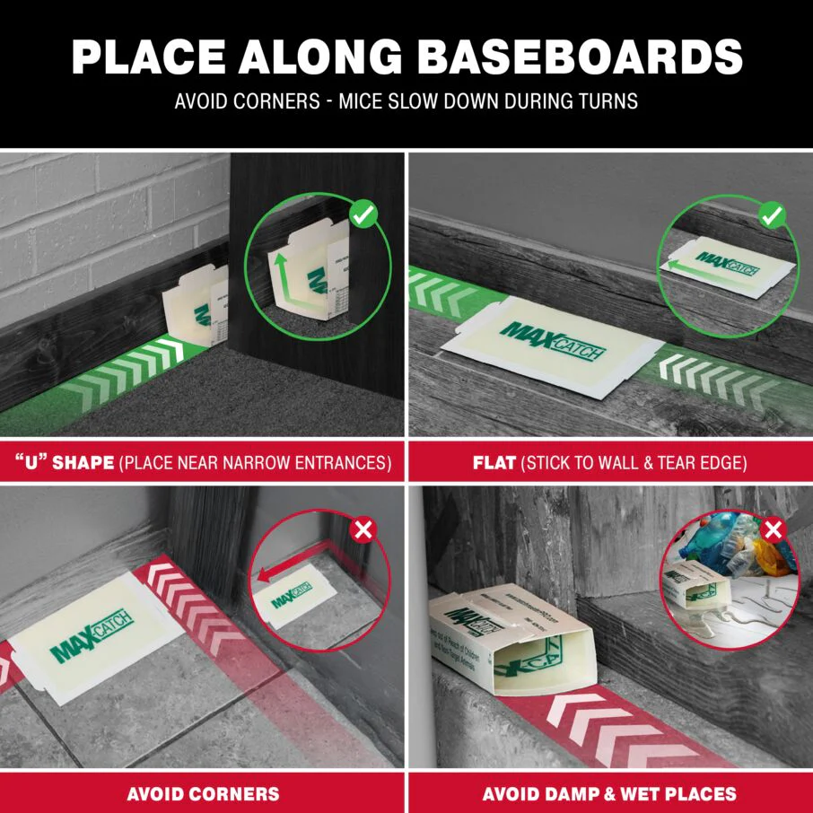 Max-Catch Classic Glue Board Traps - Image 7