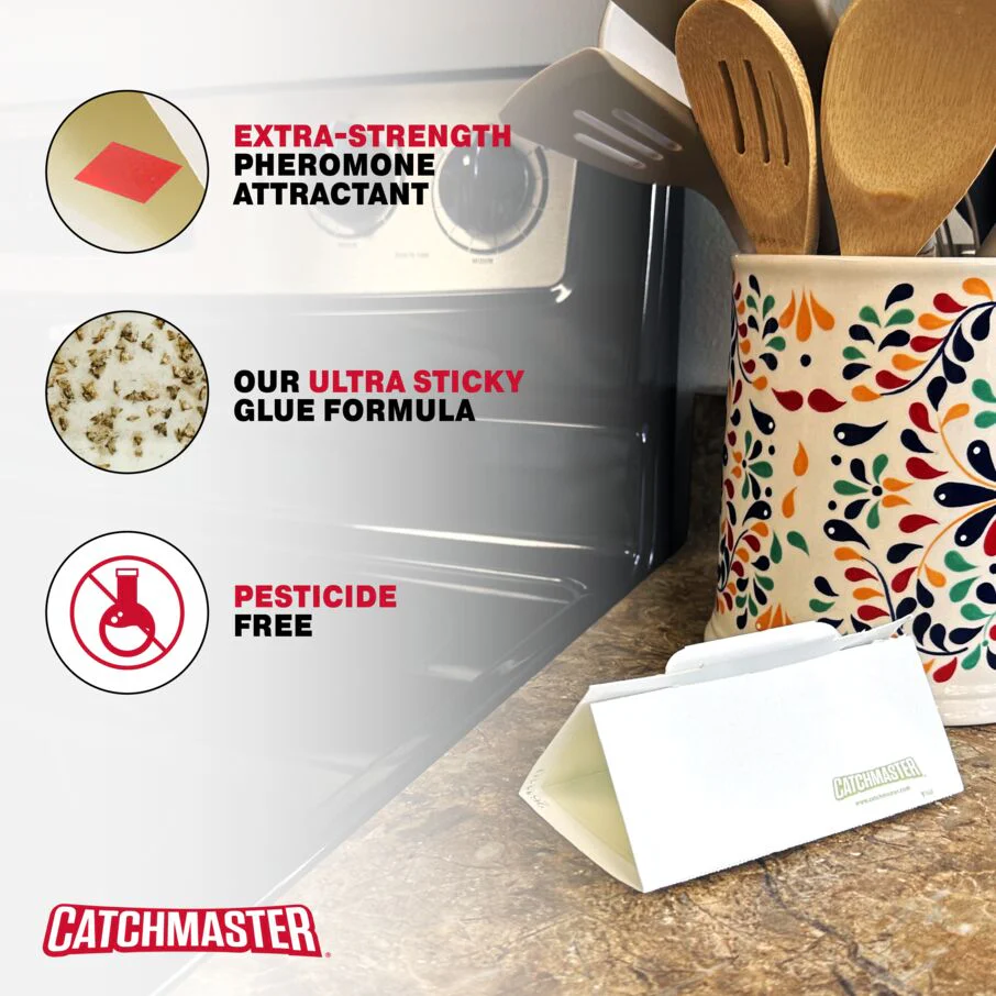 Pantry Pest & Moth Pheromone Infused Glue Board Traps - Image 7