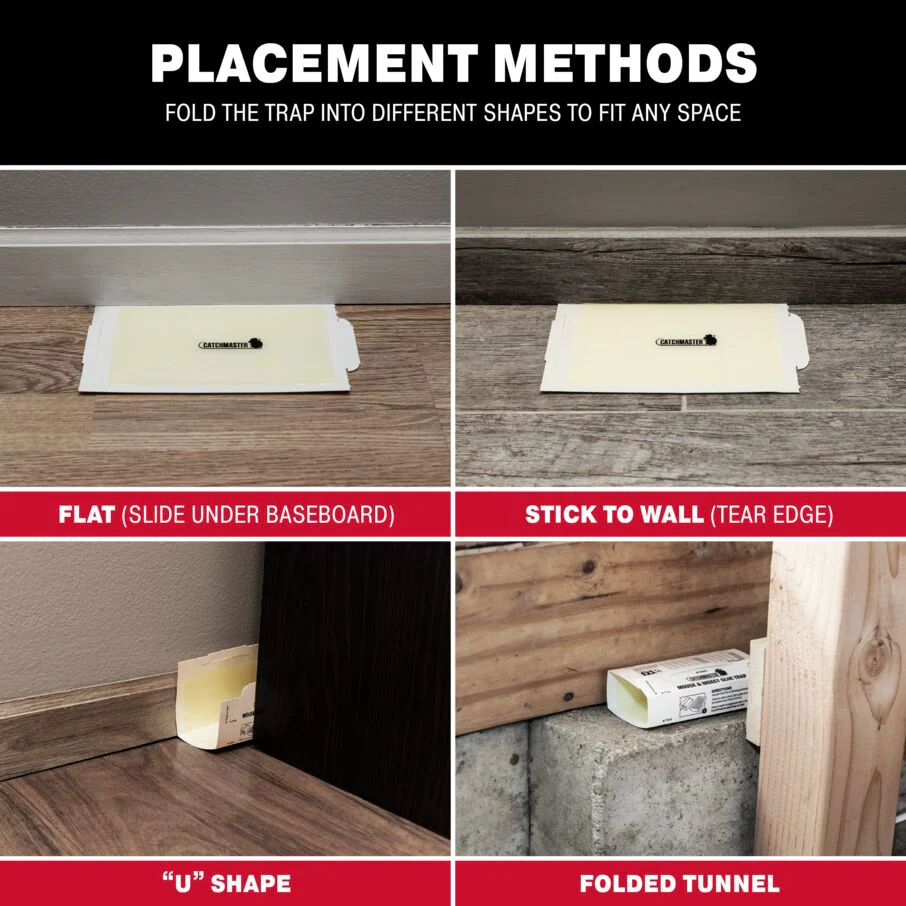 Mouse & Insect Super Glue Traps - Image 6