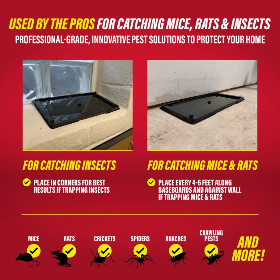 Rat, Mouse & Insect Glue Traps - Image 7