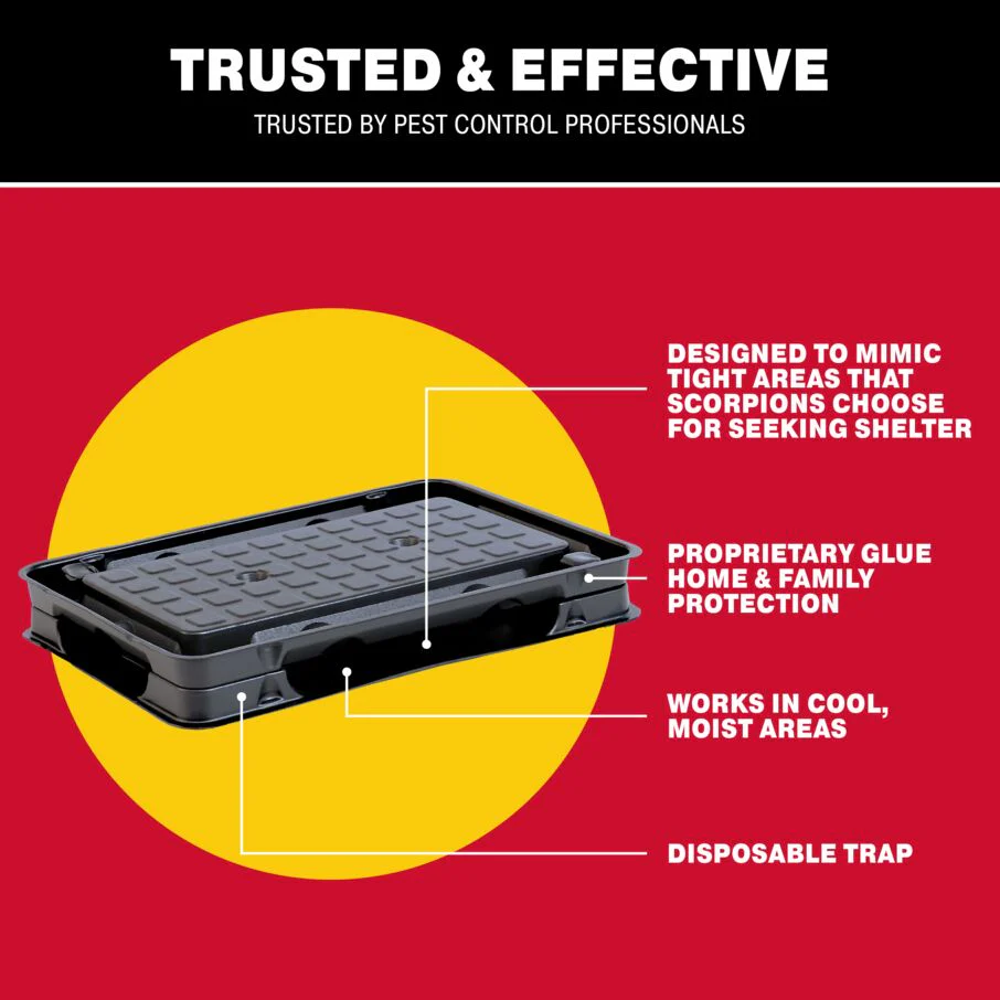 Scorpion Glue Tray Traps - Image 5