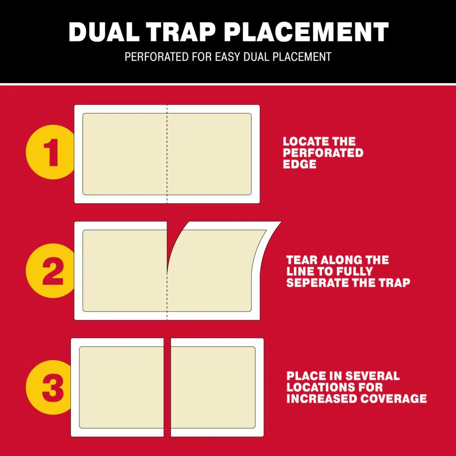 Spider Glue Board Traps - Image 5