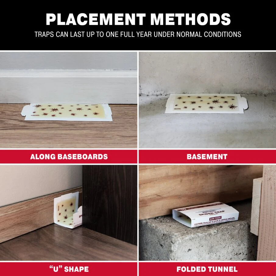 Spider Glue Board Traps - Image 6