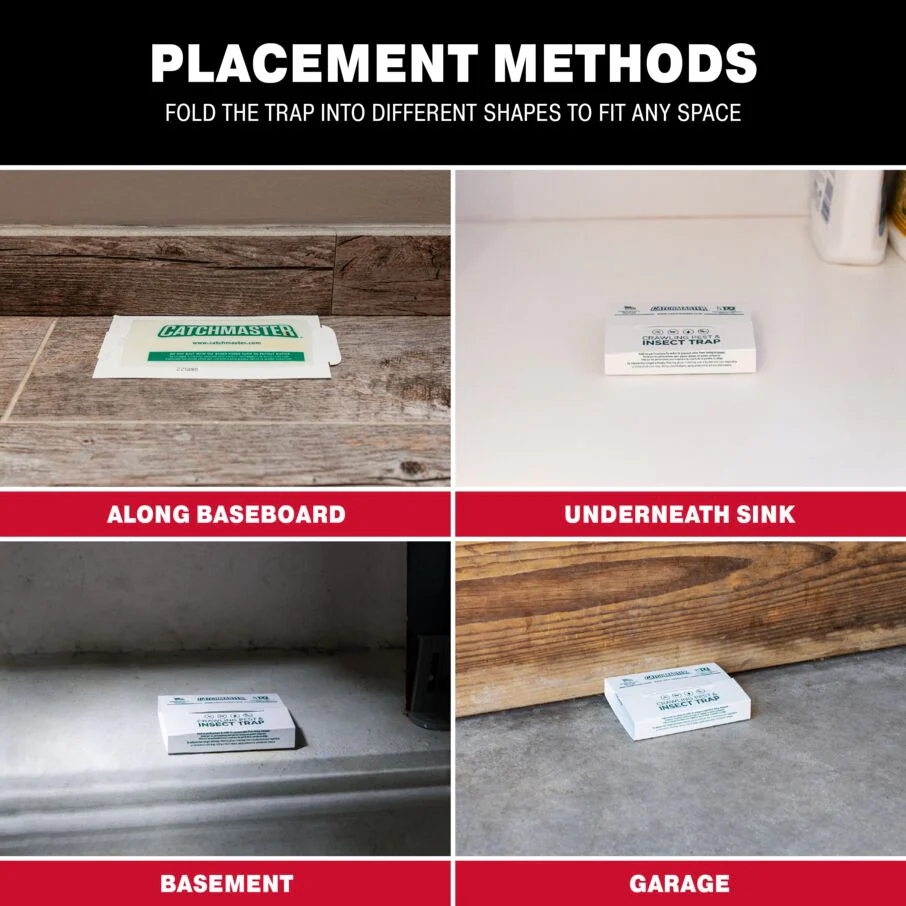 Crawling Pest, Spider & Insect Glue Board Traps - Image 6