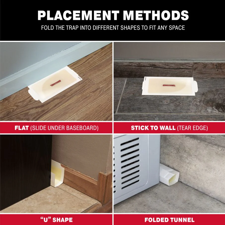 Mouse and Insect Glue Board Traps - Image 6