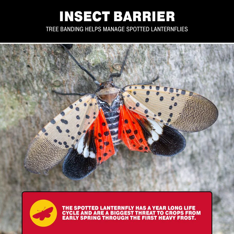 Insect Barrier Kit for Trees - Outdoor Insect Glue Traps - Image 5