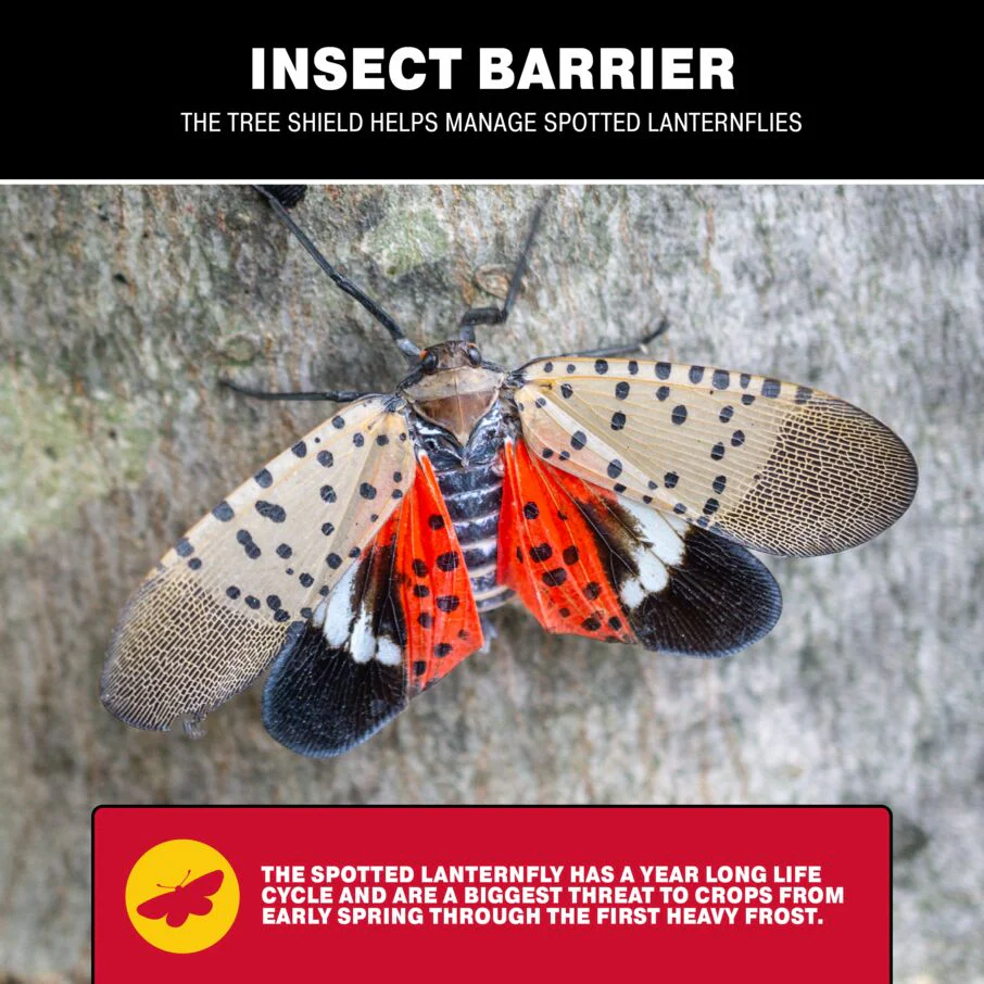 Tree Shield Insect Barrier Trap - Image 5