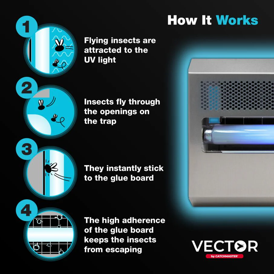 Vector 15 UV Light Fly Traps - Silver - Image 4