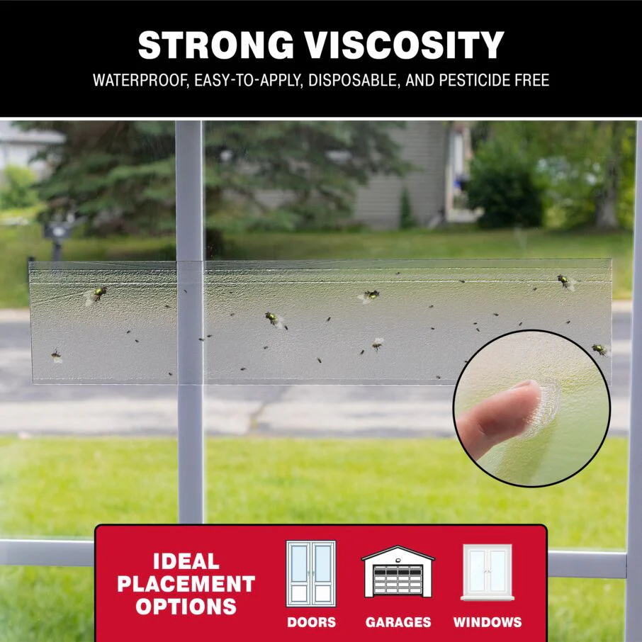 XL Window Fly Traps for Indoors - 12 Pack - Image 6