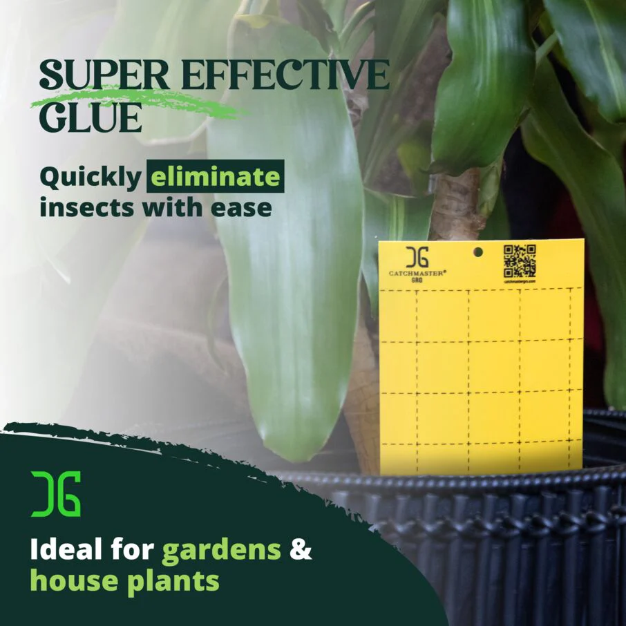 Large Double Sided Sticky Traps - Yellow - Image 4