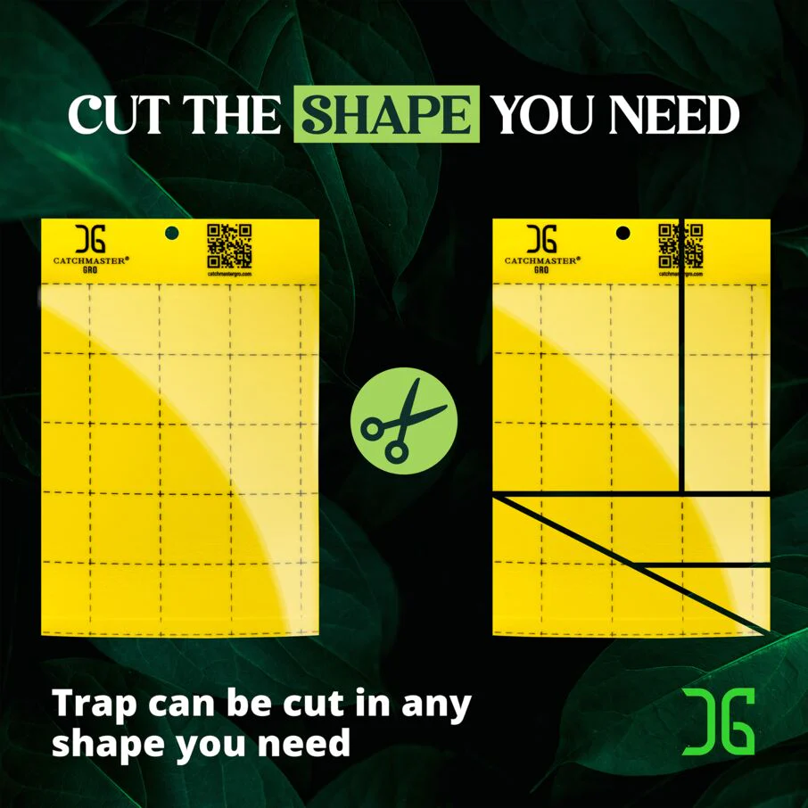 Large Double Sided Sticky Traps - Yellow - Image 7